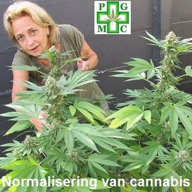 Tilburg, cannabis, thuisteelt, legaal, kweken, thuis